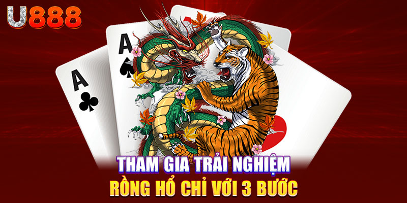 Tham gia trải nghiệm rồng hổ chỉ với 3 bước 