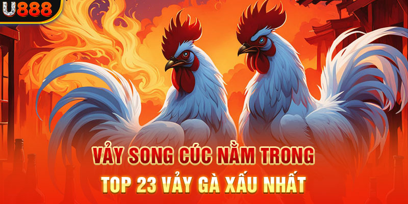 Vảy song cúc nằm trong top 23 vảy gà xấu nhất 