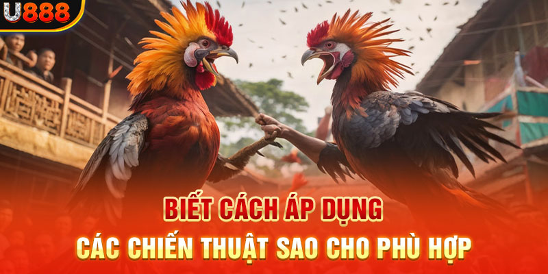 Biết cách áp dụng các chiến thuật sao cho phù hợp