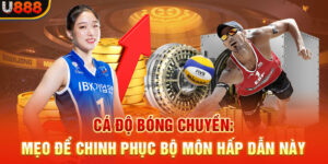 Cá Độ Bóng Chuyền - Mẹo Để Chinh Phục Bộ Môn Hấp Dẫn Này